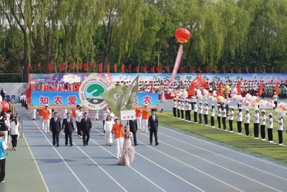 说明: 运动会2.jpg